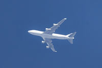 OE-IFD